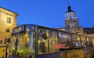 Miniaturka