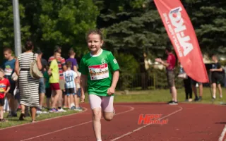 Miniaturka