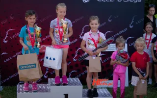 Miniaturka