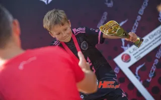 Miniaturka