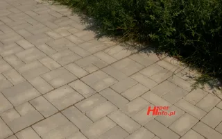 Miniaturka