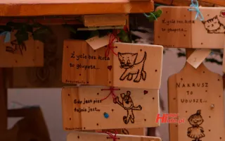 Miniaturka