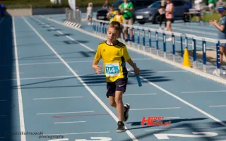 Miniaturka