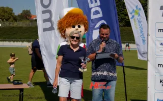 Miniaturka