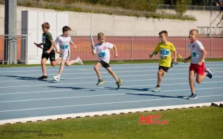 Miniaturka