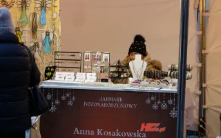 Miniaturka