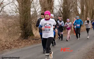 Miniaturka