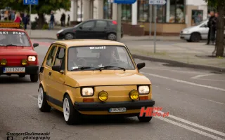 Miniaturka