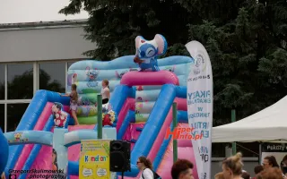 Miniaturka