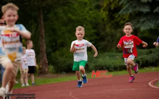 Miniaturka