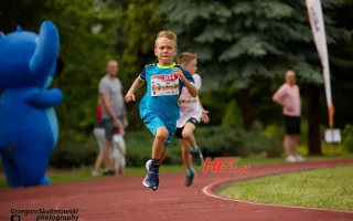 Miniaturka