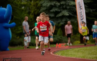 Miniaturka