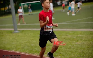 Miniaturka