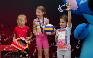 Miniaturka