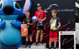 Miniaturka