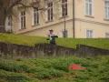 Miniaturka