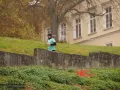 Miniaturka